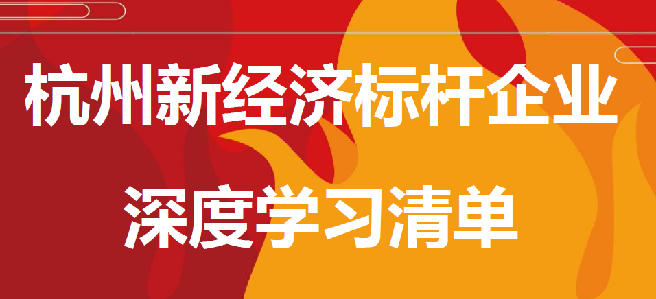 杭州新經濟標桿企業